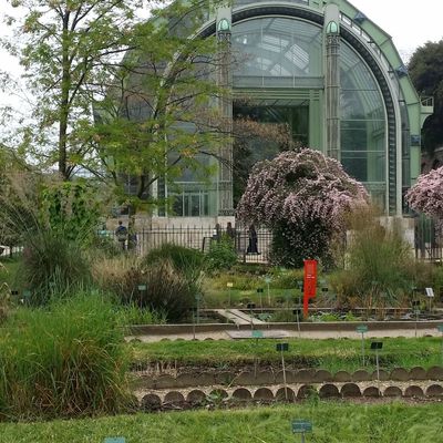Voyage au jardin des plantes de Paris et au zoo de Vincennes en avril 2014