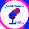 BiblioOnDemand , podcasts Radio France dans les bibliothèques publiques et universitaires