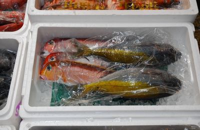 Le marché aux poissons de Tokyo, suite