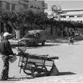 Le vendeur de sardine. Une, de mes nombreuses histoires, de ma vie. 