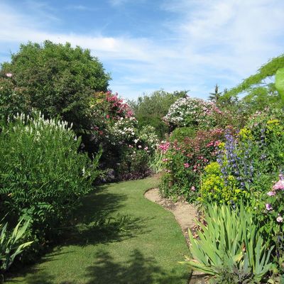 Le Jardin de Morailles et sa collection de roses anciennes, à visiter à Pithiviers le Vieil dans le Loiret...