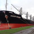 OCEAN CROWN (imo 9866653)