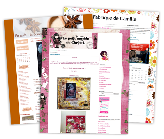 Mon objectif/Mi objetivo