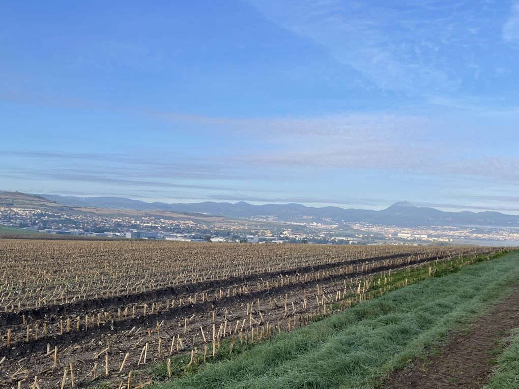 Vendredi 03 octobre 2025 sur un des balcons de ma ville  , en date du 29 sept 2025 et le vent était très froid , ça réveille de bon matin ... Je vous laisse contempler mon diaporama 