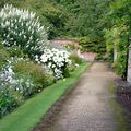 Un jardin blanc