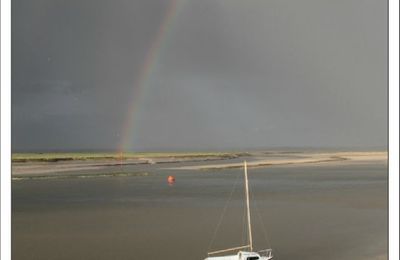 Belles couleurs en Somme