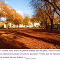Quartier Drouot - Le songe d'un après-midi d'automne...