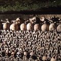 Paris - les catacombes