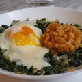 Oeuf au plat sur compotée d'épinards-oignons, saveur béchamel au parmesan et un risotto de lentilles corail au naturel