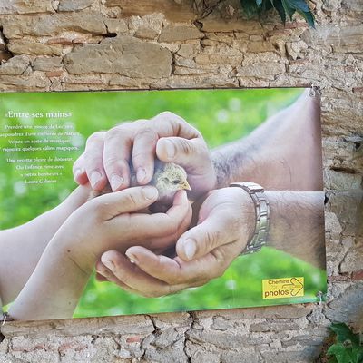 FESTIVAL DES CHEMINS PHOTOS A FERRAN
