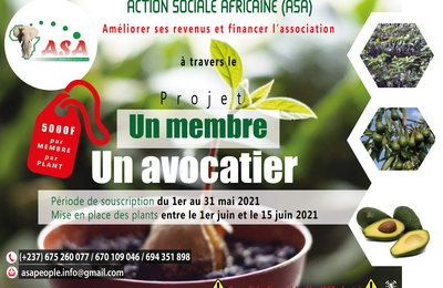 Projet Un membre Un avocatier: Une opportunité d'améliorer ses revenus et financer ASA