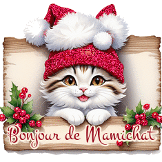 échange de novembre et décembre  2024