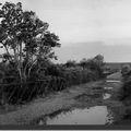 Ancienne route du bac du Hode