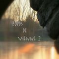 Nouvel album : Bords de Vienne 2