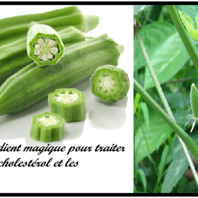 Le gombo (okra): une plante africaine qui aide à traiter le diabète!