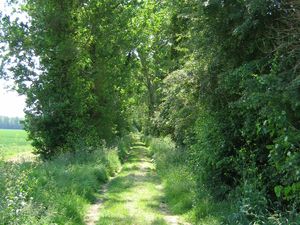Il parrait que le chemin  est difficile mais ça ne fait que commencer , alors courrage une bière vous attend à l'arrivée