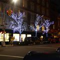 New York - février 2016 - Arbres illuminés