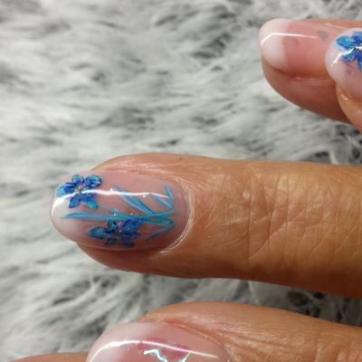 Passion'nail Pose d'ongles en gel: L'IRIS 