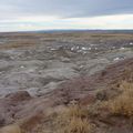 Petrified Forest