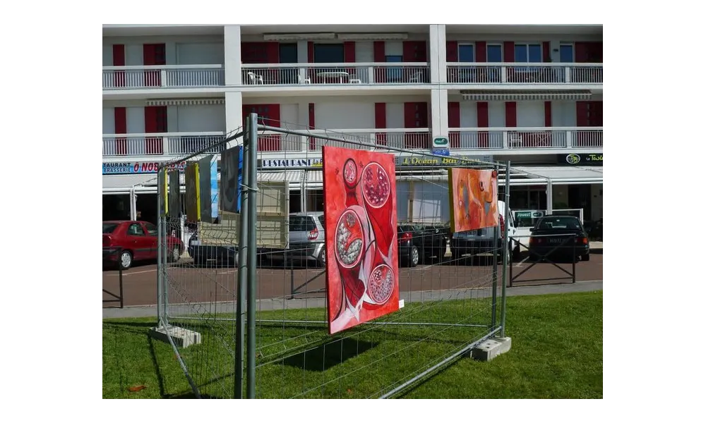 Exposition dans la rue à Royan (17) le 10 juin 2017