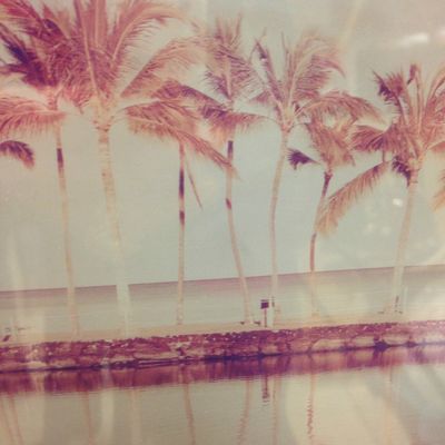 Dernière visite chez Ikéa et Alinéa