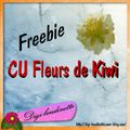 un freebie !!!...CU fleur de kiwi