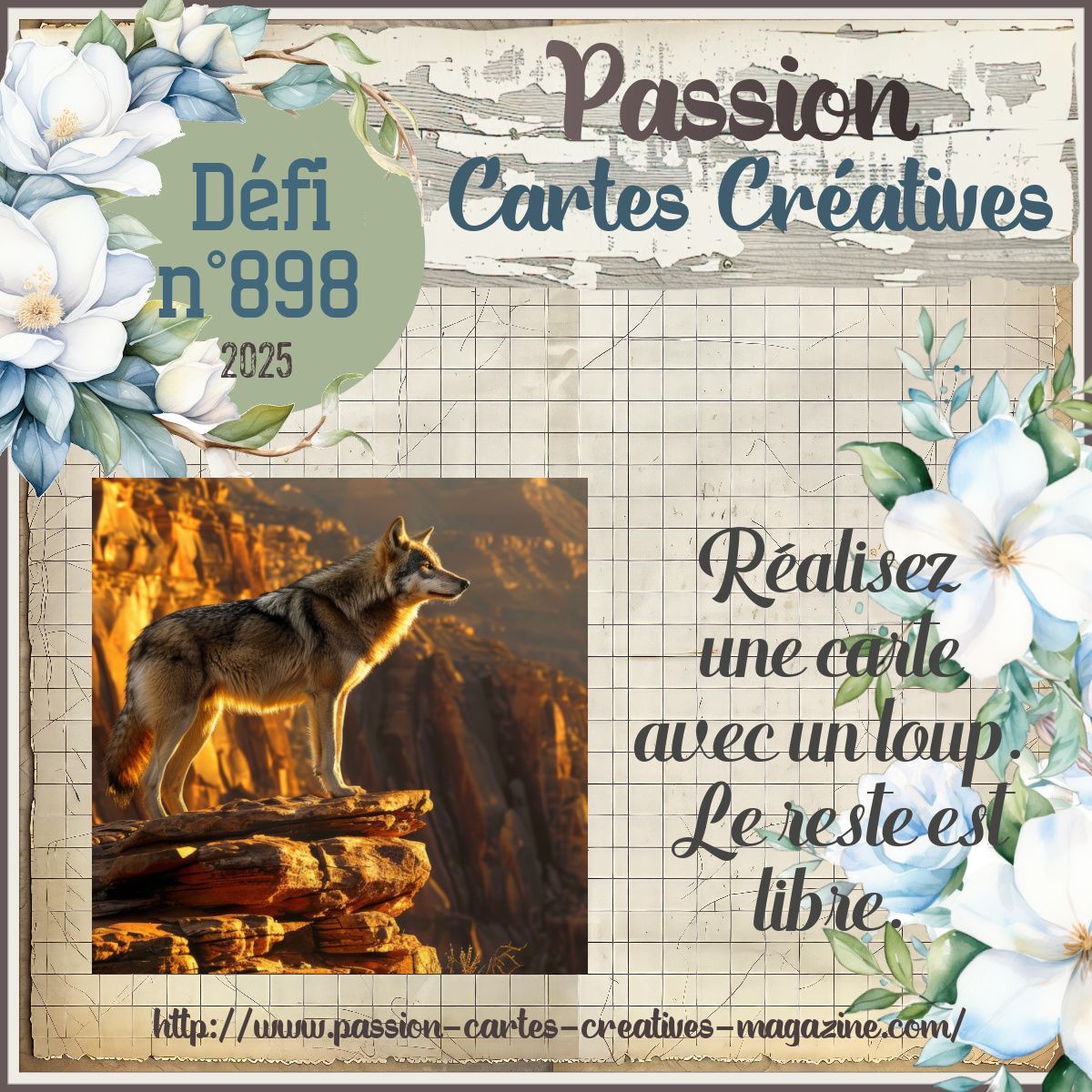 898 ANIMAL loup 12 juin (1)