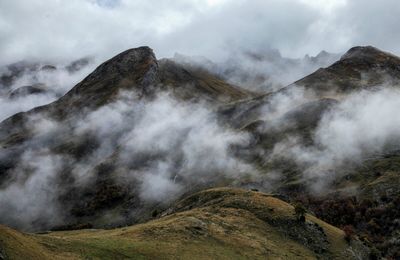 Dans la brume