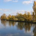 Les roux automnaux sur les bords de la Loire