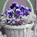 bonjour succès garanti. Puisque les fleurs sont
