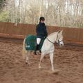 Concours dressage Fleury 