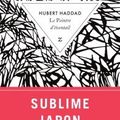 Le peintre d’éventail de Hubert HADDAD
