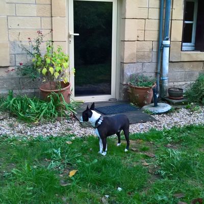 Feunie a un nouvel ami