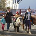 Poneys de Noël 