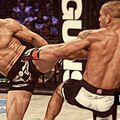 Bellator 99: Résultats 