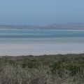 AFRIQUE DU SUD .Langebaan