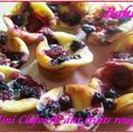 MINI CLAFOUTIS AUX FRUITS ROUGES Recette trouvée