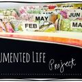 The documented life projet (semaine11)