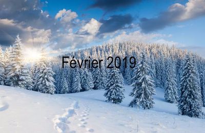 Bilan - Février 2019