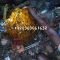 RITUEL POUR ÊTRE RICHE PACTE-VOYANT MÉDIUM EN AFRIQUE
