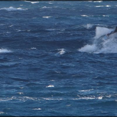 MAIS OÙ ÉTAIS - TU   ? GEORGES NEMO ...!