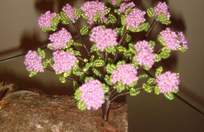 Rhodondendron