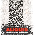 Aliquid : Sylvain Guérineau & Jean-Marc Foussat le 14 novembre 11 