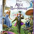 Alice au Pays des Merveilles (2010)