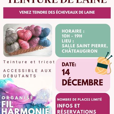 14 décembre 2024 - Teinture de laine