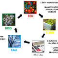  Les cinq éléments découlent d'une observation du cycle de la nature
