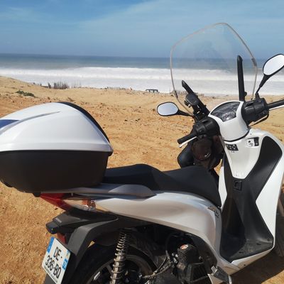 AGLOU, le sable et scotaire