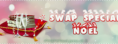 Swap pour Noël 2012