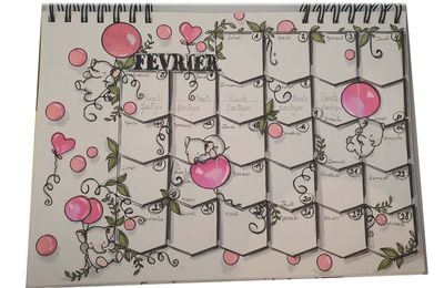 Le Bullet Journal - Février