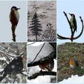 9 oiseaux dans le bosquet de Bengtsson